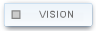 VISION